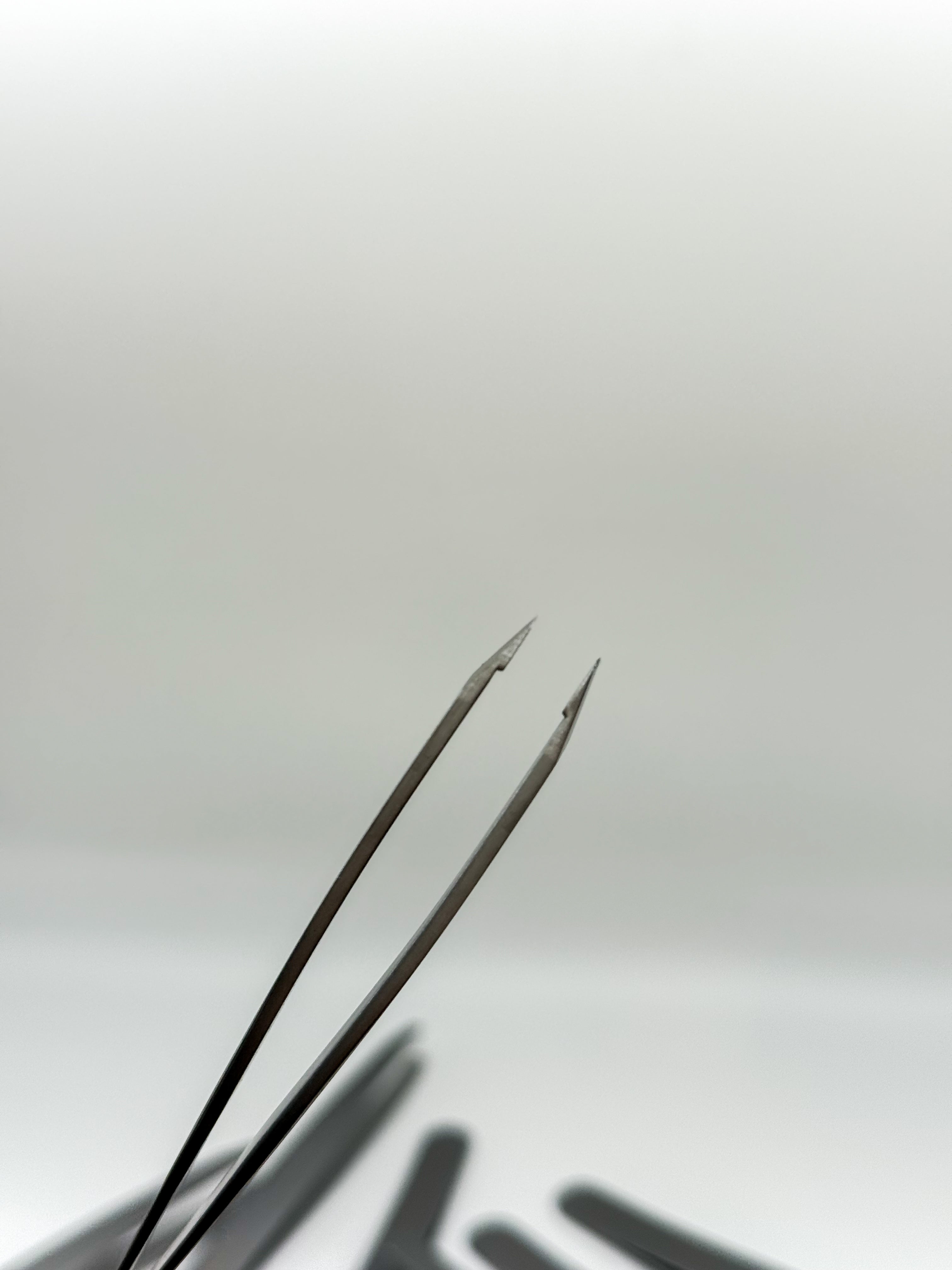 Weekday Tweezers