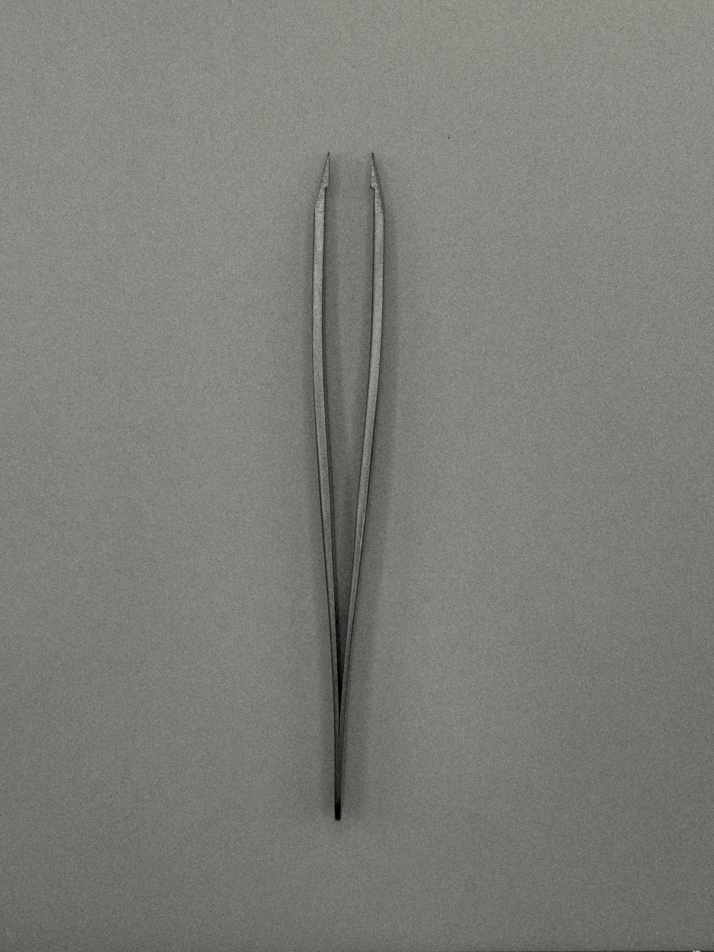 Weekday Tweezers